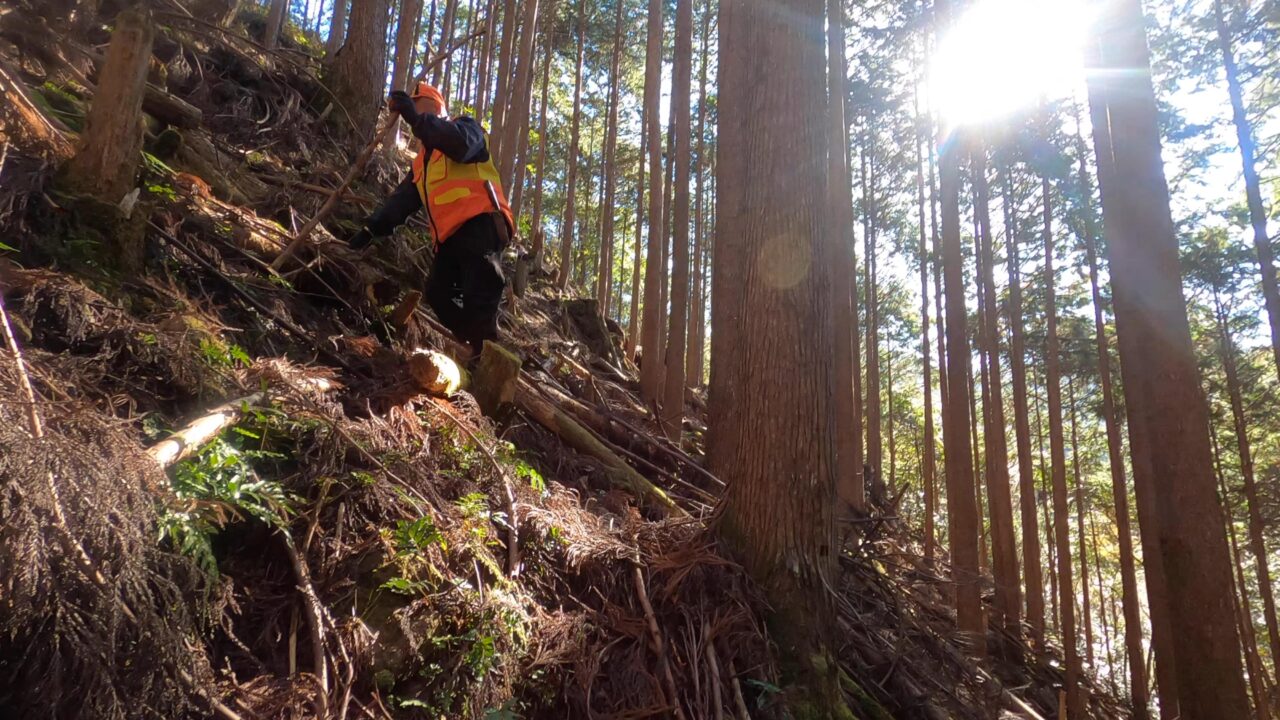 現役猟師さんと行く獣道探索 熊野の楽しい遊び場 Irokuma Kids