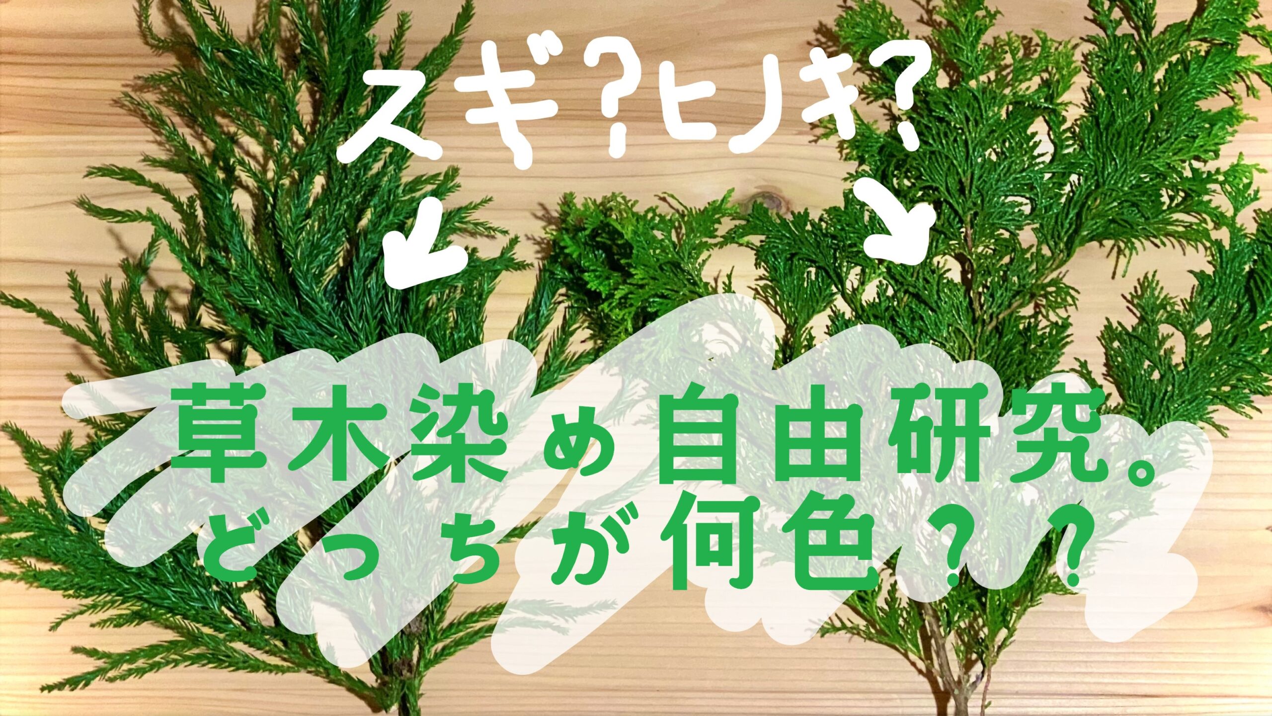 おうち時間の遊び方｜草木染めで染め比べに挑戦！｜熊野の楽しい